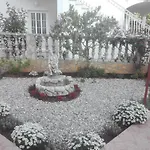 Marisol Vodice