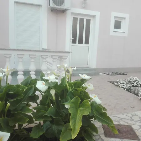 Marisol Vodice